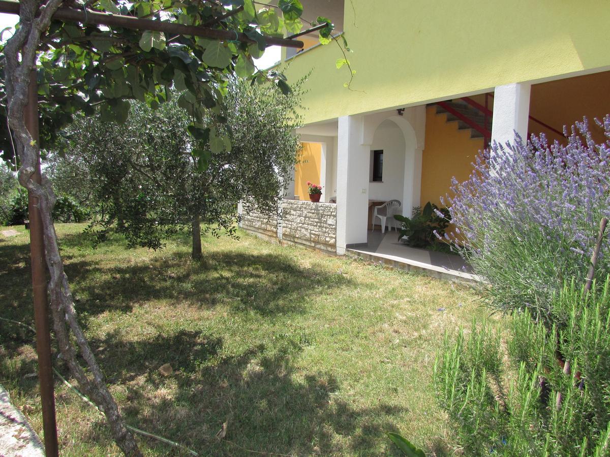 Goga Apartman Umag