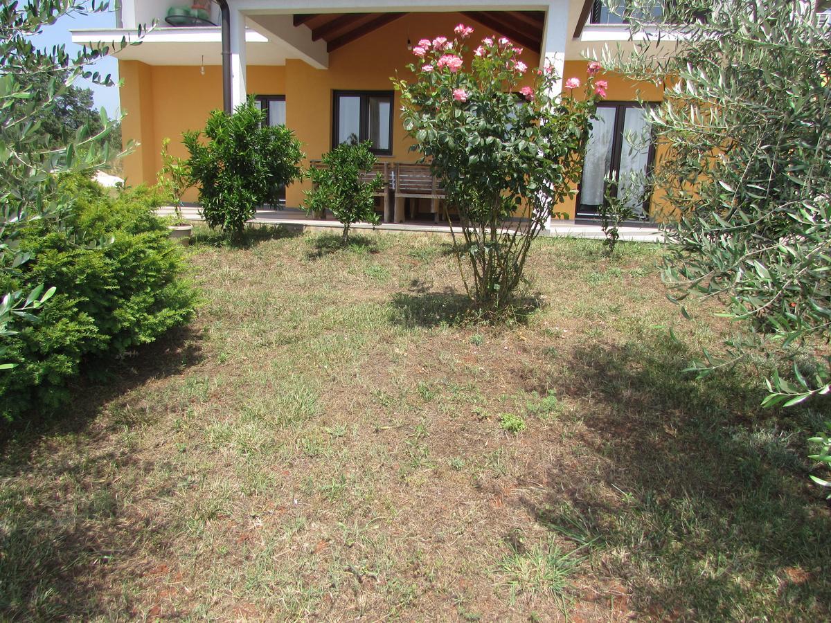 Apartman Goga Umag